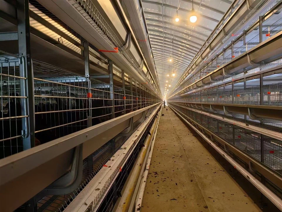 Battery Layer Cages factory