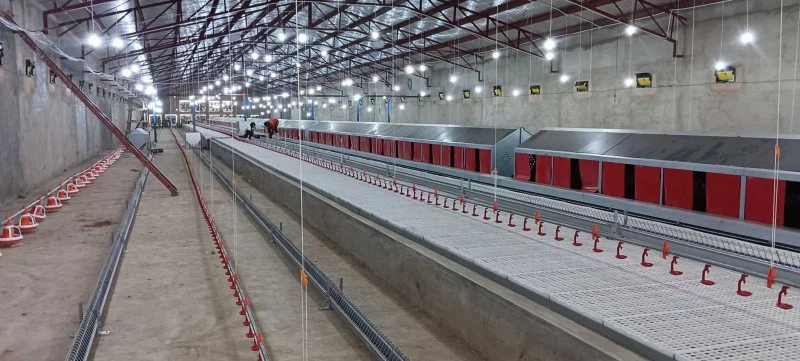 Breeder Pan Feeders suppliers Breeder Pan Feeders suppliers